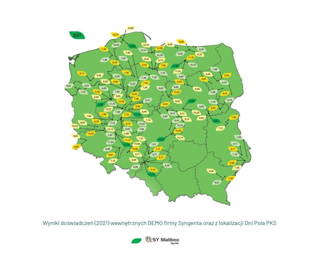 Wyniki doświadczeń polowych odmiany Maliboo