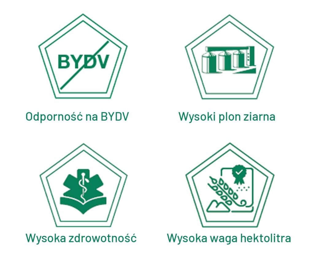 Ikonki przedstawijące główne zalty odmiany jęczmienia Zoomba