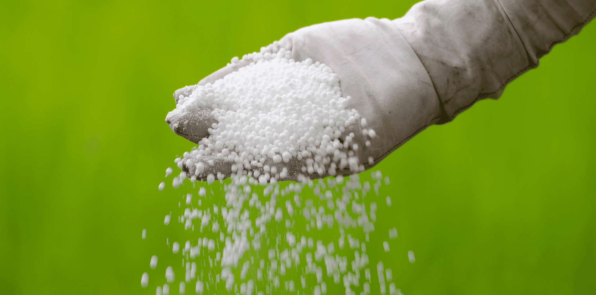 Nawóz granulowany pokazany na rękawicy na zielonym tle.
