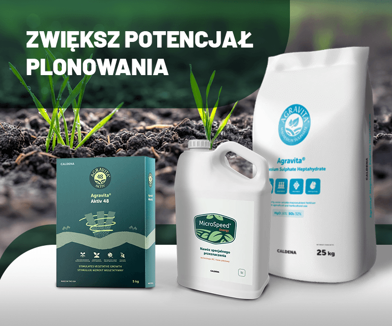 NN baner Artykul Nawozenie dolistne