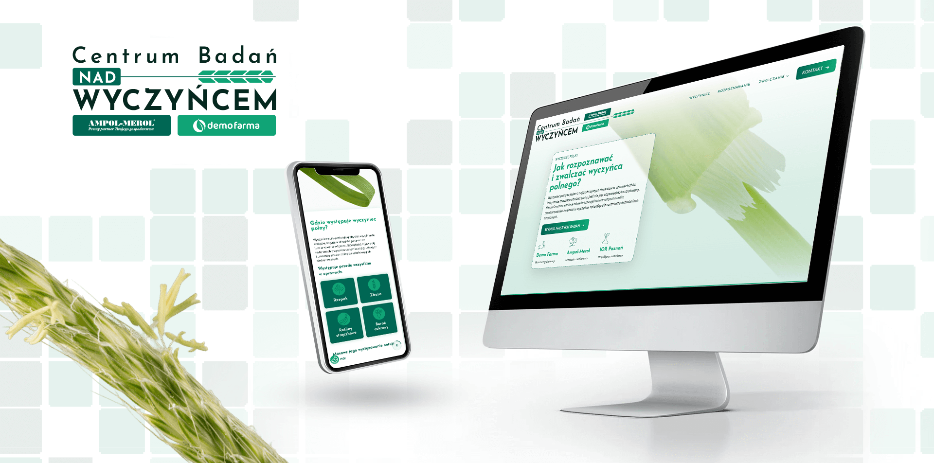 wizualizacja strony CBnW na telefonie i monitorze